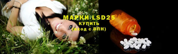 PSILOCYBIN Богданович