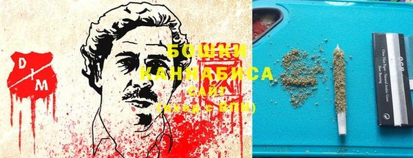 гидра Белоозёрский