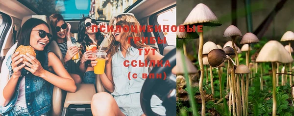 PSILOCYBIN Богданович