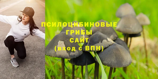 2c-b Богородск
